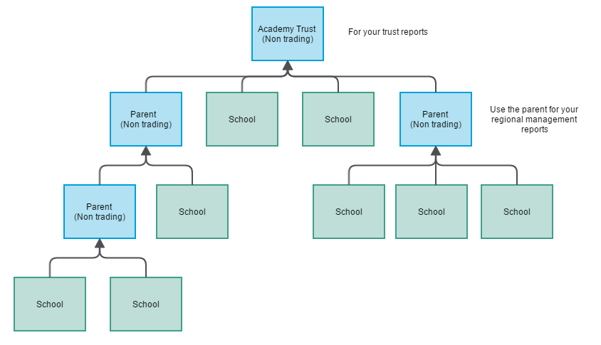 Consolidated Reporting